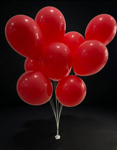 11 ÇUBUKLU VANTUZLU BALON STANDI